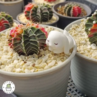 🐇 ตุ๊กตากระต่าย ชุดกระต่ายเก็บผัก ตุ๊กตาประดับกระถาง แต่งสวน ตั้งโช ขนาดเล็ก น่ารัก 🐇