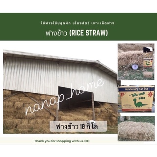 ฟางข้าวอัดก้อน 10 กิโล ❌ 1ชิ้นต่อ1ออเดอร์  สำหรับ เพาะเห็ดฟาง ปลูกผัก เลี้ยงสัตว์ เลี้ยงไก่