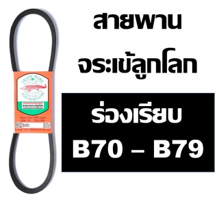 จระเข้ลูกโลก สายพาน ร่อง B B70 B71 B72 B73 B74 B75 B76 B77 B78 B79 70 71 72 73 74 75 76 77 78 79