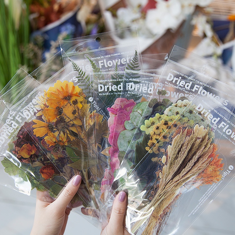 ENWEI 6Sheets PET Weekend Flower Shop Series Stickers Plant Big Deco Sticker Scrapbooking Stationery