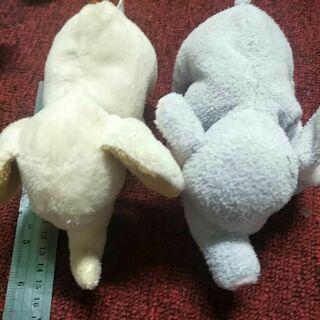 ตุ๊กตาช้าง มือสอง สภาพดี 2 ตัว 35 บาท