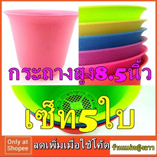 กระถาง 5ใบ ปาก8นิ้ว สูง8.5นิ้ว ทรงสูง สีสวย ปลูกต้นไม้ ได้จนโต พลาสติก ทรงกลม ปลูก เมล็ด พันธุ์ สวนครัว สลัด แคคตัส187