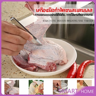 แหนบถอนขนหมู ถอดก้างปลา แหนบสแตนเลส พร้อมจัดส่ง pork plucking tongs