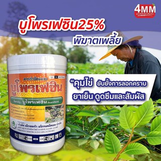 บูโพรเฟซิน 25% ขนาด 1 กิโลกรัม (บูโพรเฟซิน) ยาคุมไข่ เพลี้ยตัวอ่อน ป้องกันและกำจัดแมลง