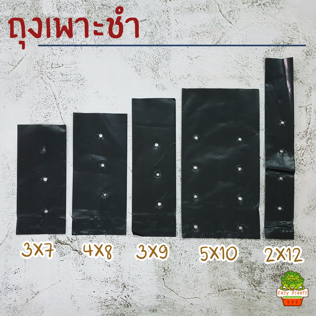 ถุงเพาะชำสีดำ เพาะกล้า ปลูกพืช ปักชำ เจาะรู ถุงเพาะดำ HDPE แพ๊ค Growing Bag 1/2 กก. และ 1.0 กก.