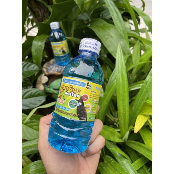 น้ำแร่นก SanGee water น้ำแร่บำรุงสุขภาพสัตว์ปีก นกกรงหัวจุก - รูปที่ 2