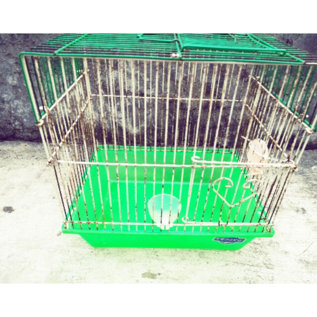 My Image 33