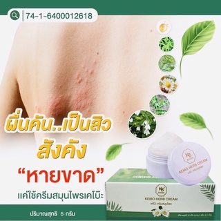 เชื้อรา(ครีมสมุนไพรเคโบ๊ะขนาด 5 กรัม)1 กล่องได้2 กระปุก