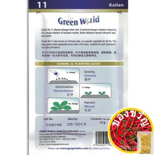 เมล็ดพันธุ์กรีนเวิลด์/เบเนห์คะน้า/ไคแลน/SEEDS Seeds SEEDS Seeds (10gm) Ed SEEDS seeds 9ZHE