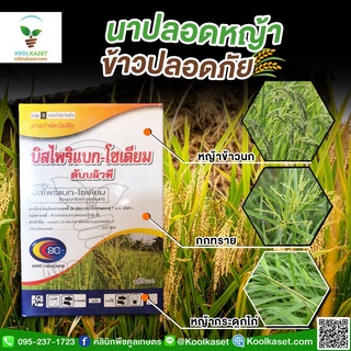 กำจัดหญ้า บิสไพริแบก100 กรัม หญ้าใบแคบ หญ้าแดง หญ้าดอกขาว หญ้าข้าวนก ลิเก กระดูกไก่ คูลเกษตร KP5