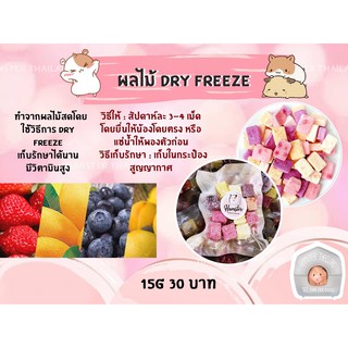 [Hamsterthailand] ผลไม้รวม Dry freeze ขนมสำหรับสัตว์เลี้ยง แฮมสเตอร์ เม่นแคระ