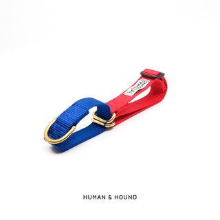 ปลอกคอสุนัข Human and  Hound - Martingale Bright Red/Royal Blue ปลอกคอฝึกสุนัข