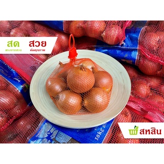 หอมใหญ่ หัวหอมใหญ่ 500 กรัม และ 1 กิโลกรัม เนื้อแน่น ผิวสวย สด สะอาด คัดให้ มี 2 ขนาดให้เลือก