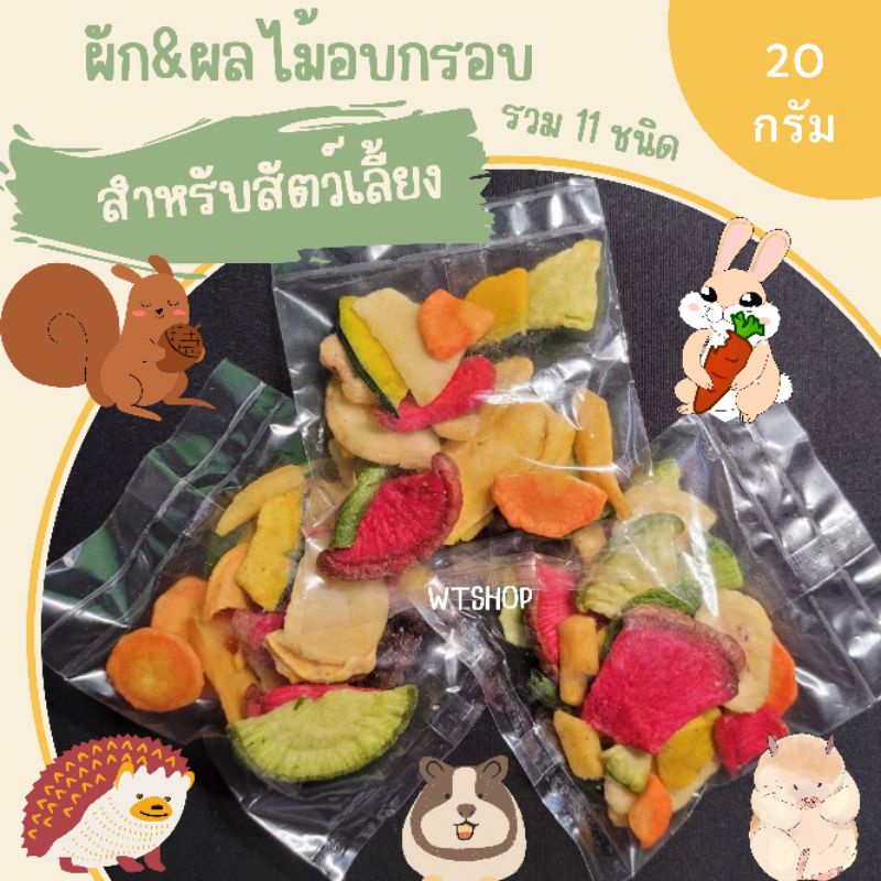 ผัก&ผลไม้อบกรอบ 11 ชนิด ผักและผลไม่อบกรอบสำหรับสัตว์เลี้ยง ปริมาณ 20 กรัม (อบกรอบ)