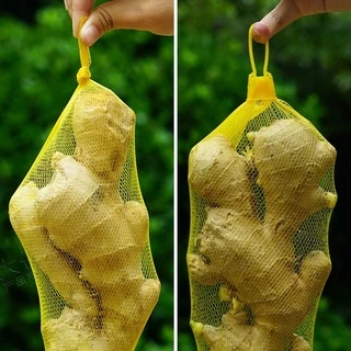 100 ชิ้น 40cm ถุงตาข่ายบรรจุไข่ ถุงตาข่ายระบายอากาศ แพ็ค พร้อมตัวล็อค