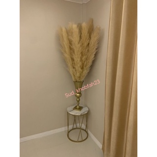 🌺ดอกเลาpampas🍁ขาวทองอ่อนธรรมชาติ🍂ช่อดอกยาว 50-80cm.