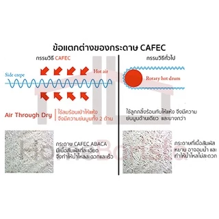กระดาษกรอง CAFEC Abaca Cone เบอร์ 1 (1-2 cups) (ซองสีแดง) Paper Filter