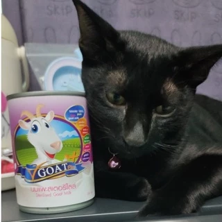 นมแพะ แท้ V-Goat Plus จากเกษตรกรแพะนม ราชบุรี นมแพะน้ำ สำหรับ ลูกสุนัข ลูกแมว ลูกกระต่าย