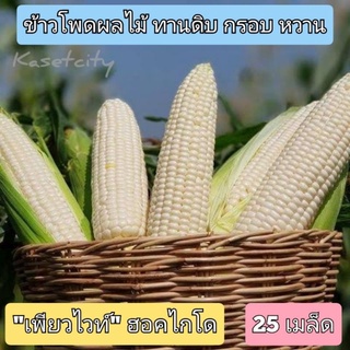 เมล็ดพันธุ์ข้าวโพดหวานนมสดเพียวไวท์(25เมล็ด)