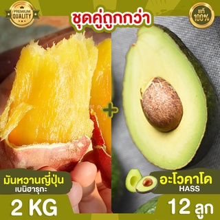 มันหวานญี่ปุ่น 2kg + อะโวคาโด 12 ลูก Avocado Hass อะโวคาโด้ อโวคาโด อะโวคาโดสด มันหวาน มันหวานเบนิฮารุกะ