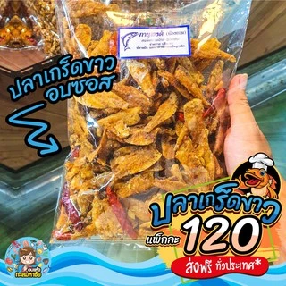 🐟🐟 ปลาเกล็ดขาว ทอดกรอบ สมุนไพร เทมปุระ อบซอส รสชาติอร่อย ส่งตรงจาก มหาชัย แพ็ค 200-500 กรัม และ 1 กิโลกรัม 🐟🐟