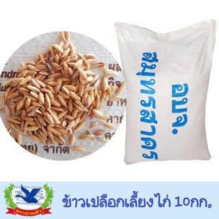 ข้าวเปลือกเลี้ยงไก่ เลี้ยงได้ทั้งไก่ชน และไก่บ้านค่ะ บรรจุ 10กก. = 140฿