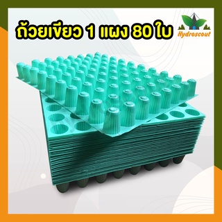 ถ้วยปลูกผักไฮโดรโปนิกส์สีเขียว ถ้วยปลูกเขียว 1 แผง 80 ใบ