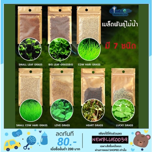 เมล็ดพันธ์ุไม้น้ำ ต้นไม้ปลูกในตู้ปลา อ่างบัว บ่อปลา ปลูกในน้ำ มี 7 ชนิด 10กรัม/ซอง
