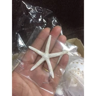 ปลาดาวเรซิ่นเสมือนจริง แช่น้ำได้ ใส่ตู้ปลา งานประดิษฐ์