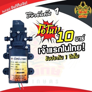 มอเตอร์ปั้ม เดี่ยว 10บาร์ มอเตอร์เดี่ยว มอเตอร์ปั้มพ่นยา 10bar