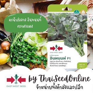 GGEW เมล็ดพันธุ์ซฟ คะน้าฮ่องกง อินทนนท์ ตราศรแดง Chinese Broccoli