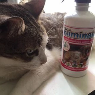 สเปรย์กำจัดเห็บหมัด(พ่นตัว) Eliminate ไร้กลิ่น ปลอดภัยกับสัตว์เลี้ยง 450ml.