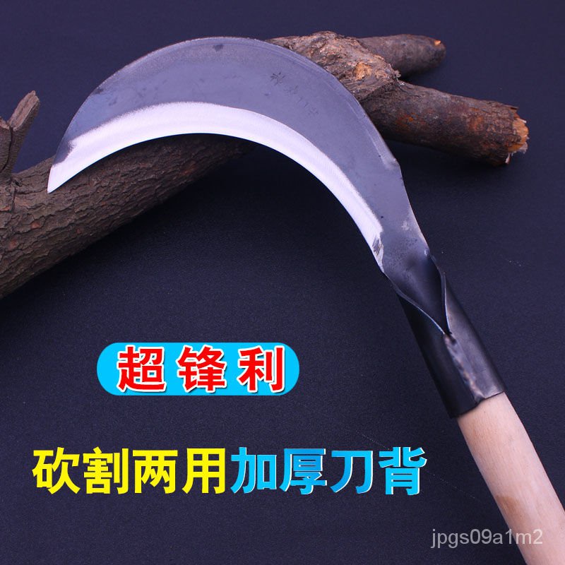 My Image 26