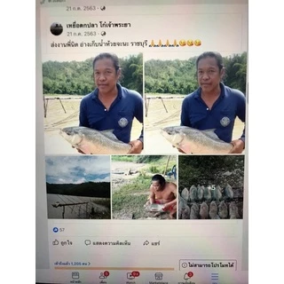 เหยื่อพร้อมตก ชุดเหยื่อตกปลาพร้อมตก #เหยื่อโก๋เจ้าพระยา