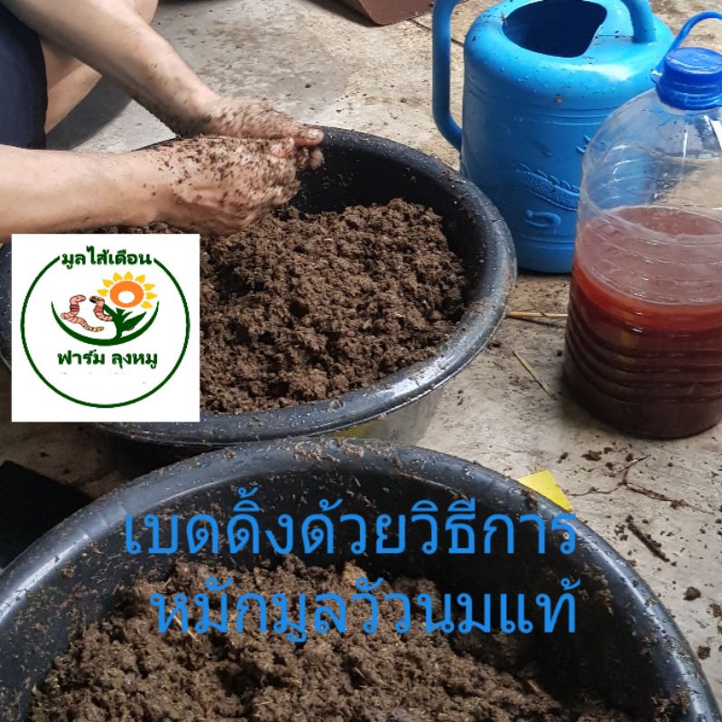 เบดดิ้งเลี้ยงไส้เดือน อาหารไส้เดือน ทำปุ๋ยอินทรีย์  เบดดิ้งทำจากมูลวัวนมจากฟาร์มวัว  ถุงละ 950กรัม - รูปที่ 4