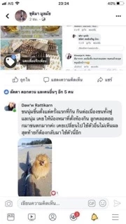 น้ำมันตับปลา สำหรับสัตว์เลี้ยง ช่วยให้ขนสวย ขนแน่นไม่หลุดร่วง สุขภาพดี กินง่าย ไม่มีกลิ่น