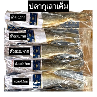 #ปลากุเลาเค็ม ตัวละ 0.7กก ราชาปลาเค็ม #กุเลาเค็ม