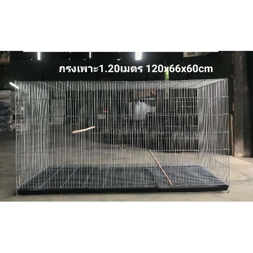 My Image 16