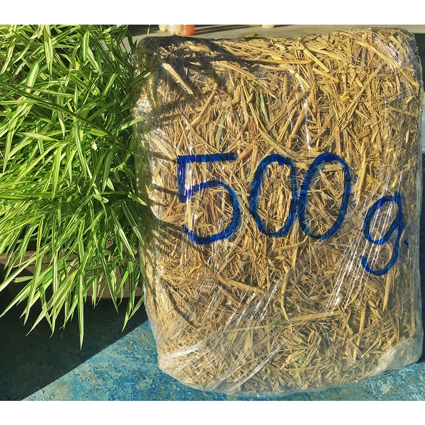 ฟาง ฟางข้าว ฟางแห้ง ฟางอัดก้อน ห่อแรปอย่างดี ขนาด 500g.