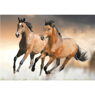 กระเบื้องผนังภาพชุด ALONZO HORSES 60X90*A (30X45CM/4 แผ่น/ชุด)