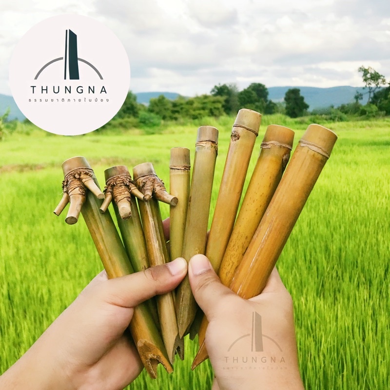 โจ๋ไม้ไผ่หรรษาสินค้าคุณภาพ