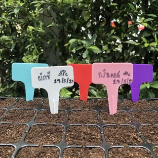ป้ายชื่อผักจำนวน 10 ชิ้น