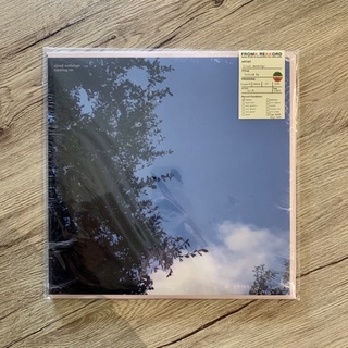 แผ่นเสียง (Vinyl) Cloud Nothings - Turning On