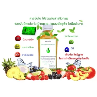 สารจับใบ สารจับใบชีวภาพ สารจับใบชีวภัณฑ์ เพิ่มประสิทธิภาพสารชีวภาพ สูตรเข้มข้น ปลอดภัยต่อมนุษย์และสิ่งแวดล้อม