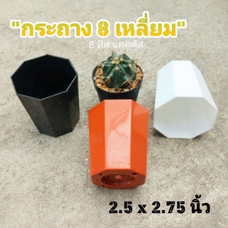 กระถาง พลาสติก 2.5 นิ้ว 8 เหลี่ยม // กด 50 ใบ 285฿ -- 8 เหลี่ยม แคคตัส กระบองเพชร กระถางพลาสติก