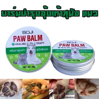 SOJI PAW BALM บาร์มบำรุงอุ้งเท้าสุนัขแมว ทาจมูก ทาเท้า สูตรออแกนิค ไร้สารพิษ สุนัขแมวเลียได้ไม่เป็นอันตราย 10g 50g