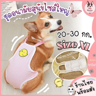 🇹🇭ร้านไทย มีส่งด่วน❤️ ชุดอนามัยสำหรับน้องหมาตัวเมีย ขนาดใหญ่…