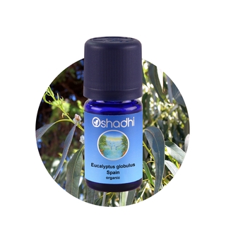 Oshadhi Eucalyptus globulus organic Essential Oil  น้ำมันหอมระเหย (10 ml)