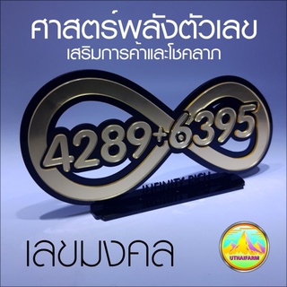 ป้ายเลขมงคล 4289+6395 ศาสตร์พลังตัวเลข 2 พลังบวก เสริมการค้าการเงินและโชคลาภ พร้อมสัญลักษณ์ infinity สไตล์ RICH รวยไม