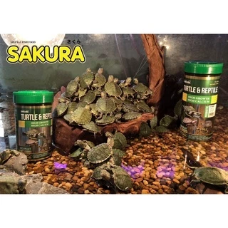 Sakura Turtle & Reptile (อาหารเต่า และสัตว์เลื้อยคลาน สารอาหารสูง เสริมวิตามิน D3 เร่งโต กระดองใหญ่ สุขภาพดี)